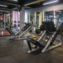 The iron paradise gym hotsell