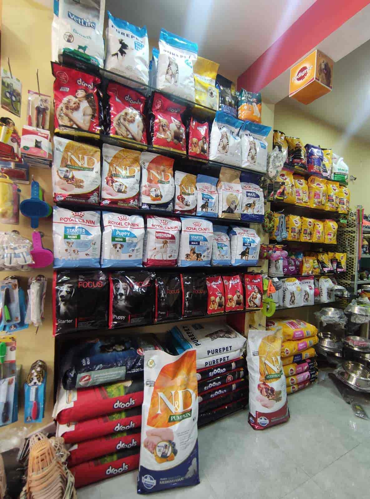 Pet Mansion in Mango,Jamshedpur Best Aquariums in Jamshedpur Justdial