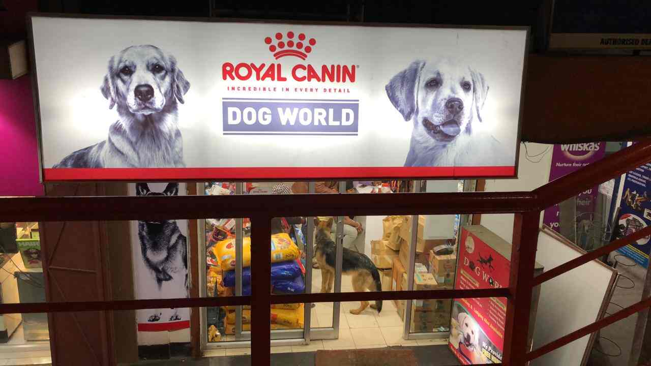 Dog World Pet Shops For Dog Book Appointment Online Pet Shops For