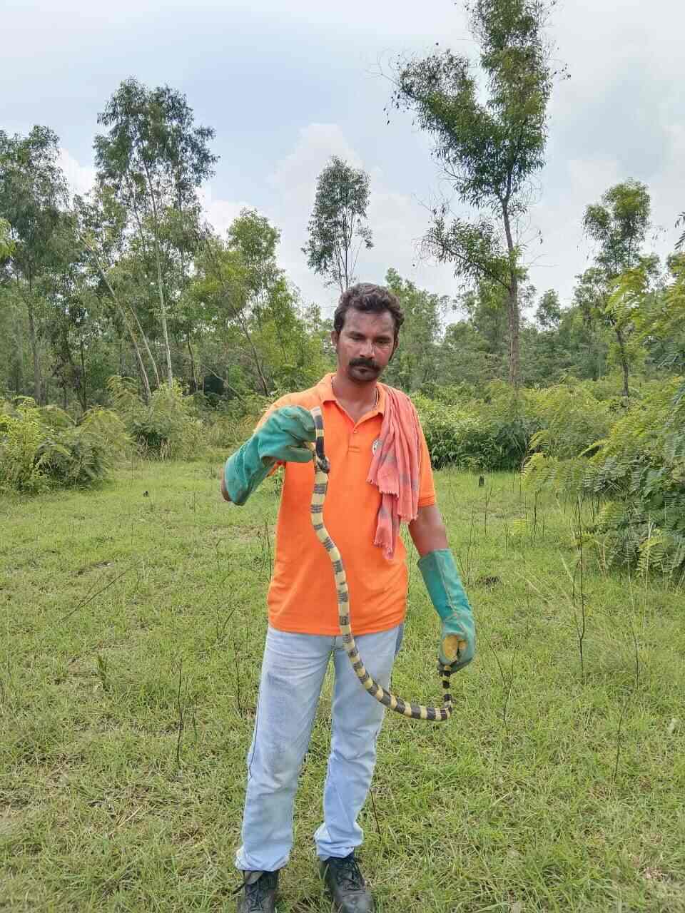 Top Animal Rescue Services in Jamshedpur near me Justdial