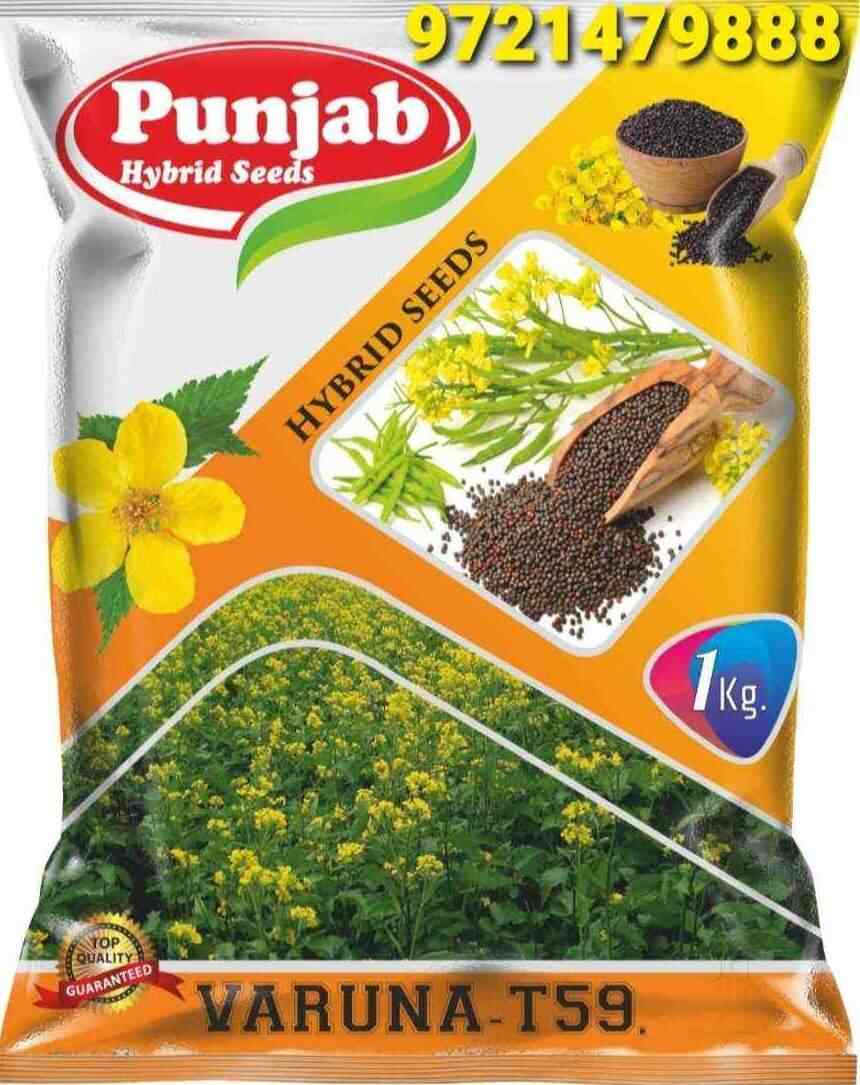 Top Mushroom Seed Retailers in Allahabad Best Mushroom Seed Suppliers