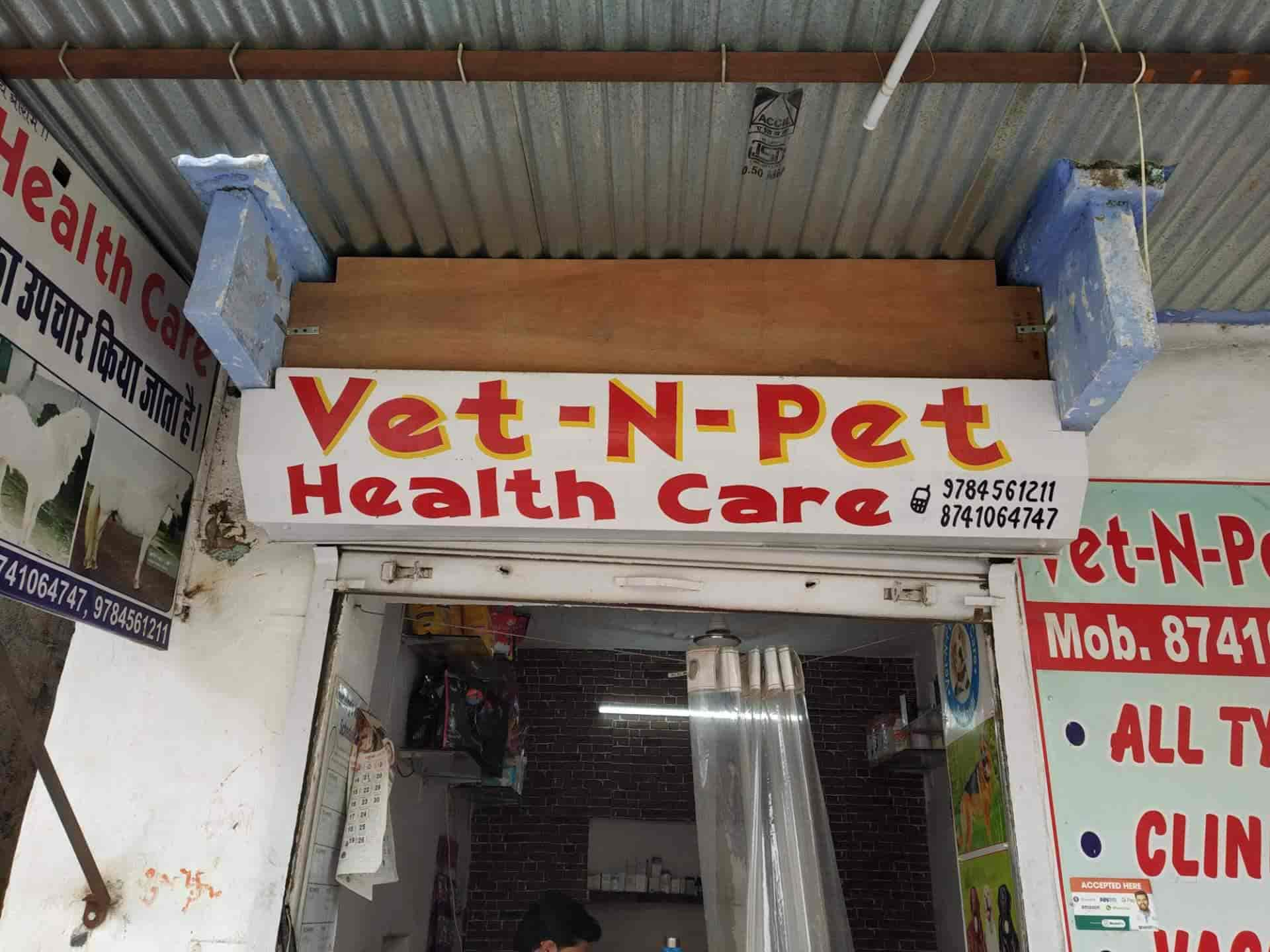 Emergency Vet Veterinary Doctors Closest Vca Animal Hospital Dog