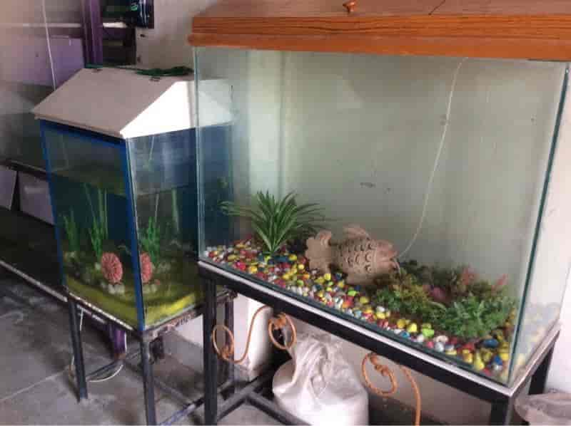Top Aquariums in Kudi Bhagtasni Housing Board Best Fish Tank Dealers