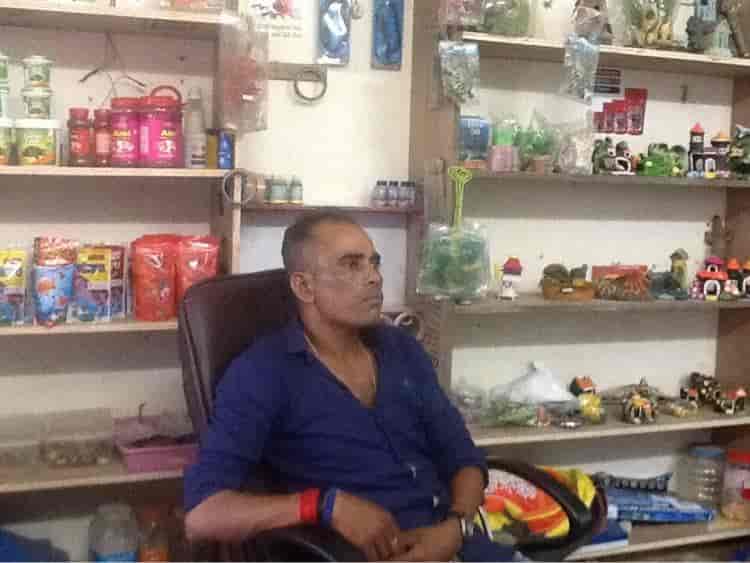 Top Aquariums in Kudi Bhagtasni Housing Board Best Fish Tank Dealers