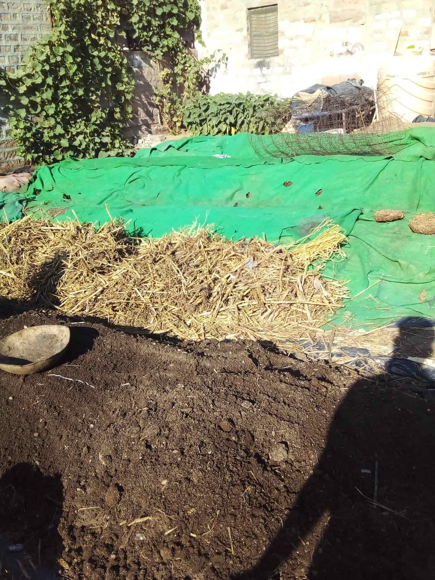 Top Dealers in Pali City Best Fertilizer