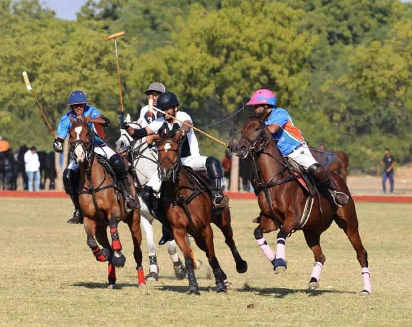 Top Polo Training in Jodhpur Best Polo Training Centres Justdial