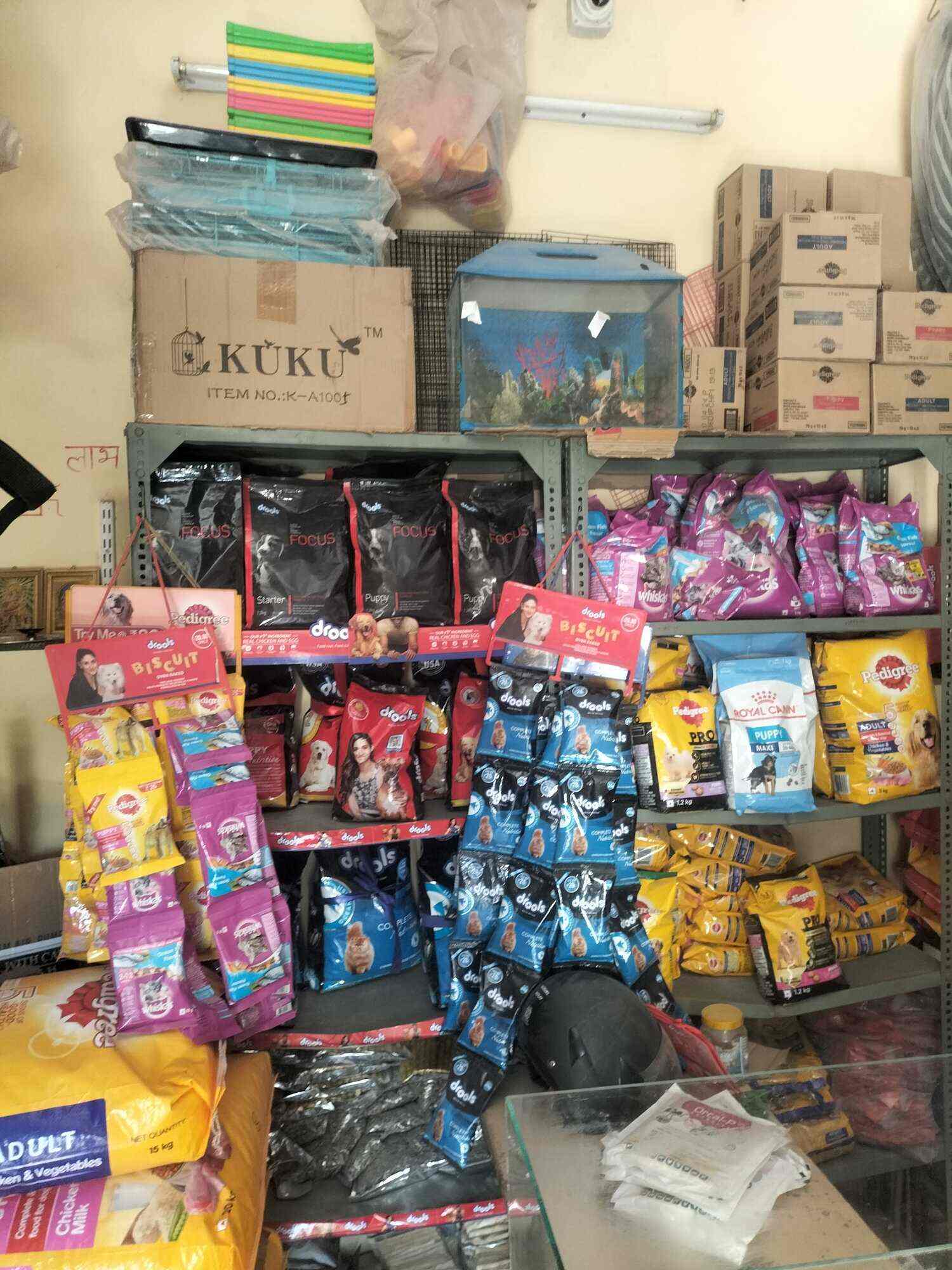 Top Aquariums in Kudi Bhagtasni Housing Board Best Fish Tank Dealers