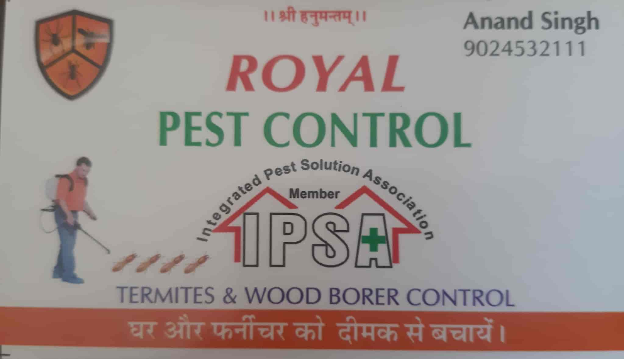 Royal Pesticides in Pal Road,Jodhpur Best Herbal Pest Control