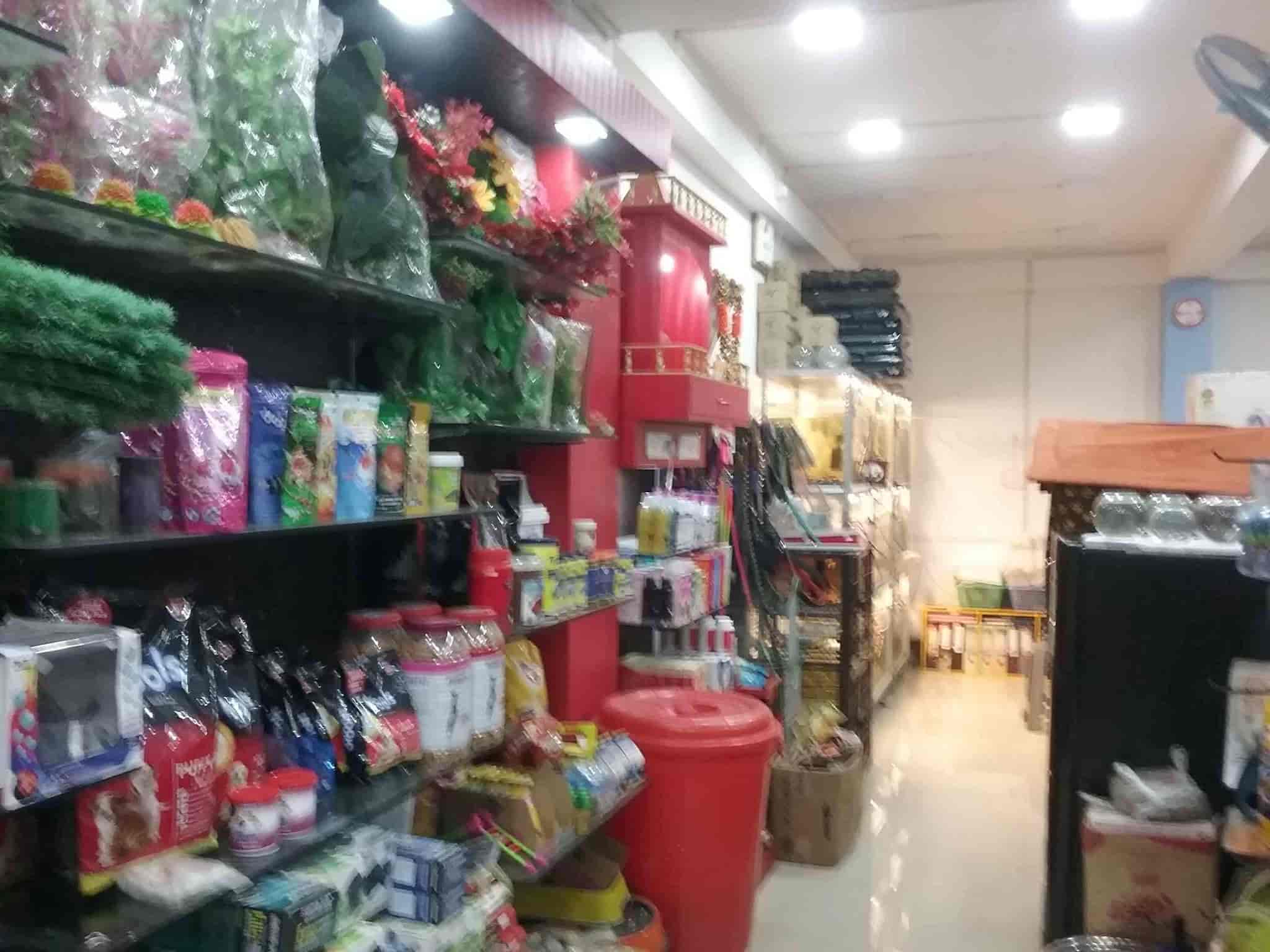 Top Pet Shops For Persian Cat Having Cat in Babupatty Best Pet Shops