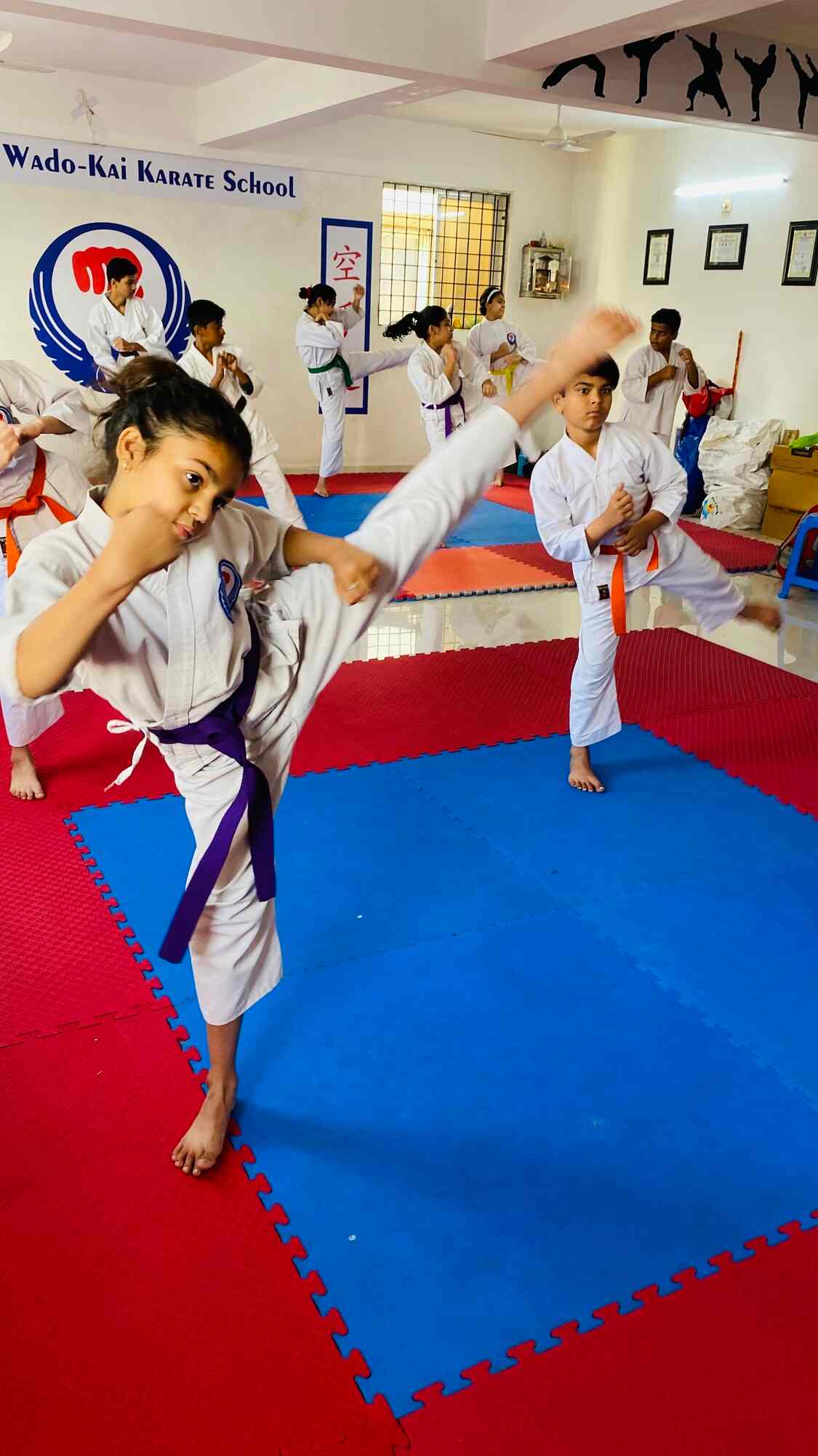 Top Martial Arts Training Centres in Porbandar Best Mix Martial Art