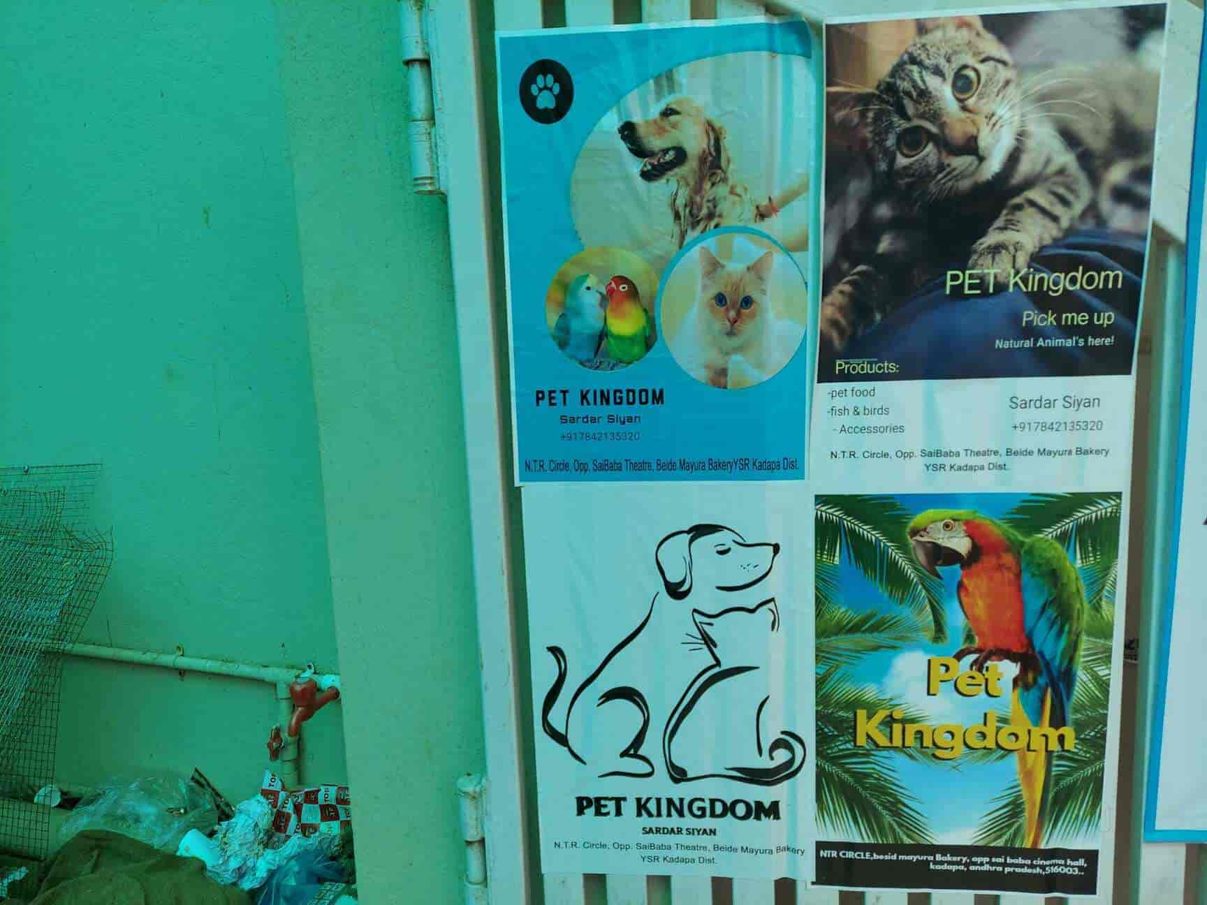 Top Pet Shops in Kadapa Best Pet Store near me Justdial