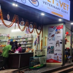 Petvet market hot sale