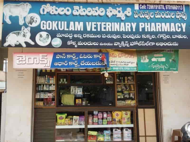 Top Pet Shops in EastGodavari Best Pet Store near me Justdial