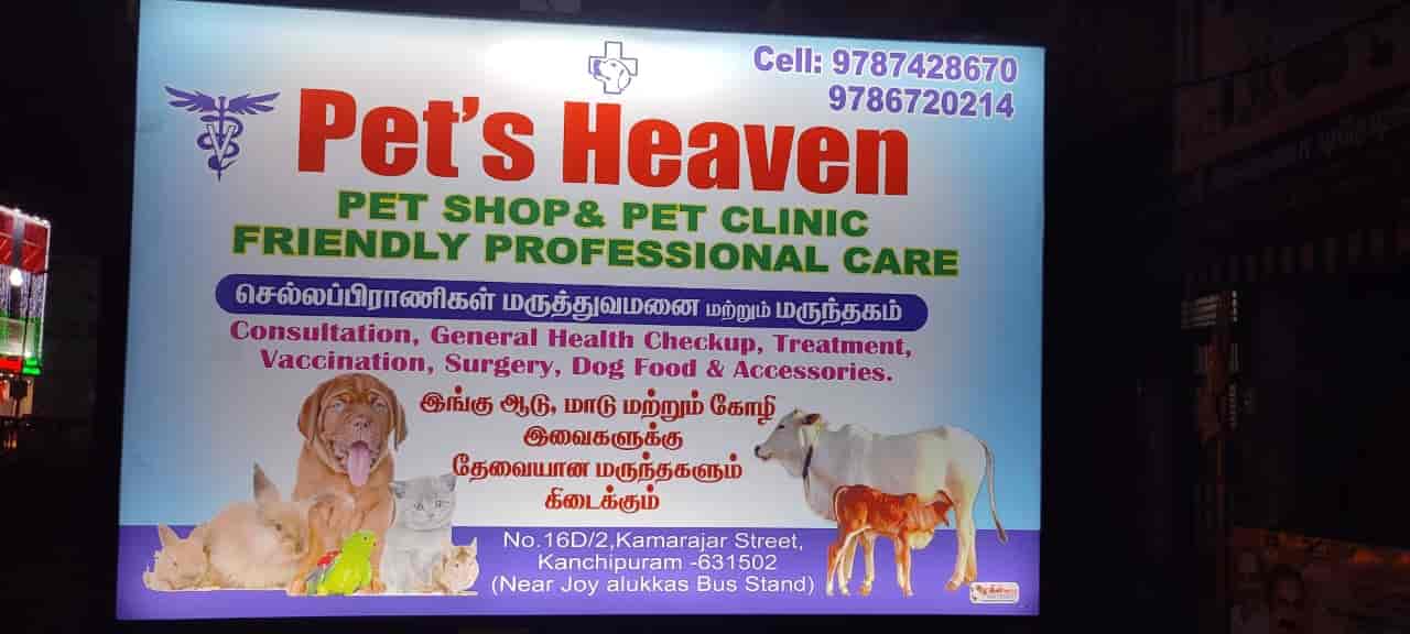 Pets Heaven in Kanchipuram City,Kanchipuram Best Pet Shops For Dog in