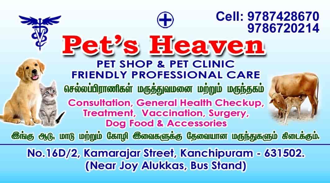 Pets Heaven in Kanchipuram City,Kanchipuram Best Pet Shops For Dog in