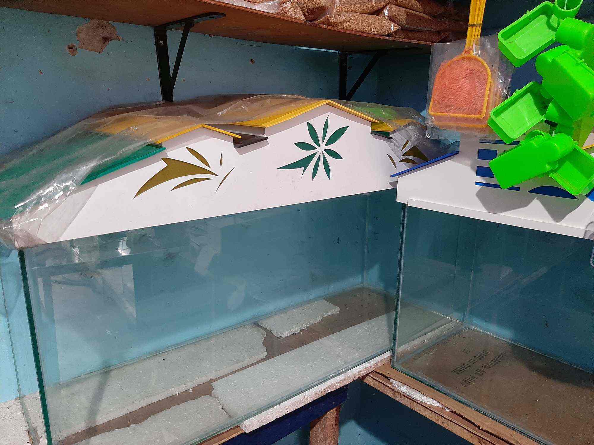 Al Raaz Pets in Taliparamba,Kannur Best Fish Tank Dealers in Kannur