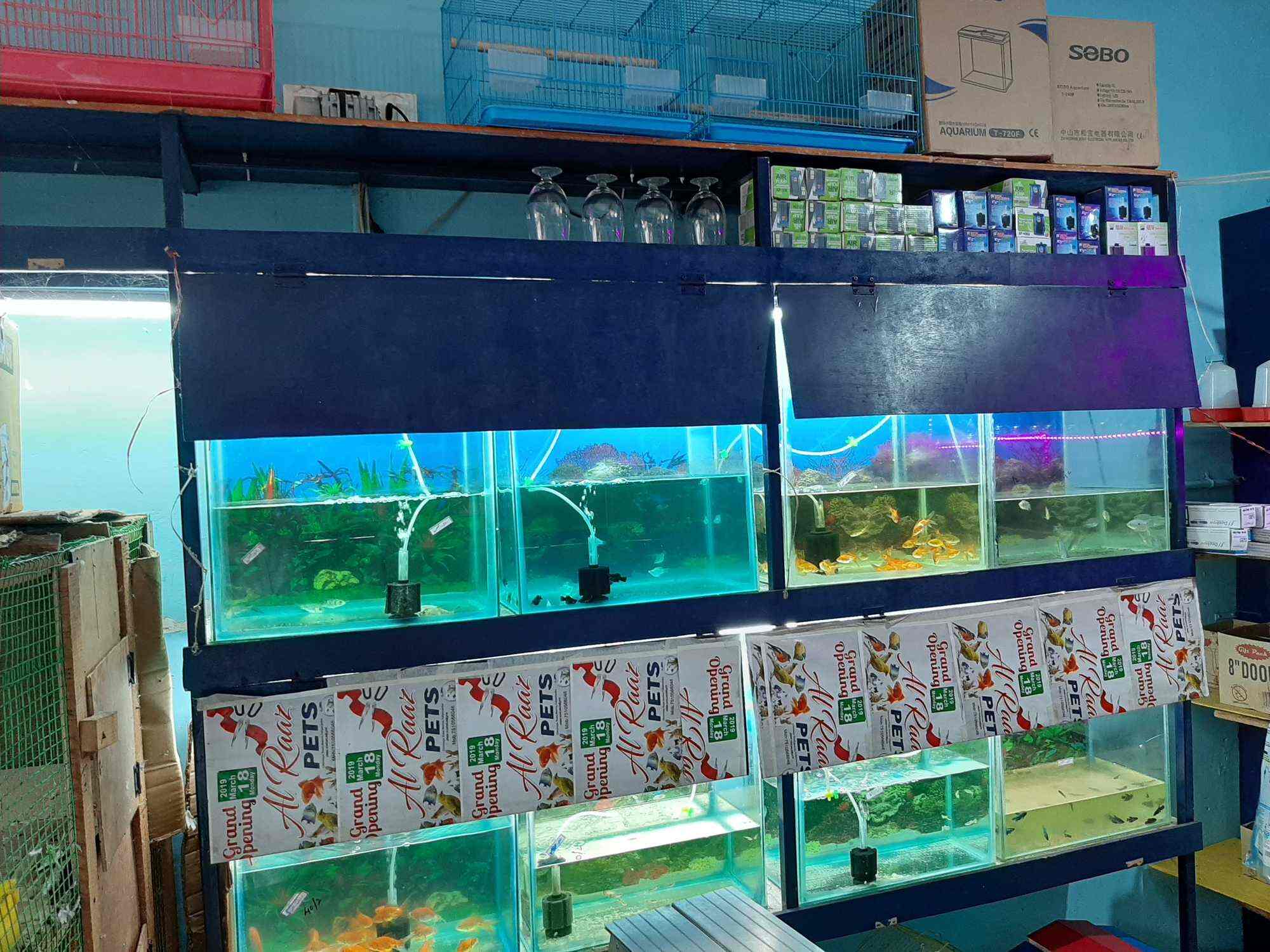 Al Raaz Pets in Taliparamba,Kannur Best Fish Tank Dealers in Kannur