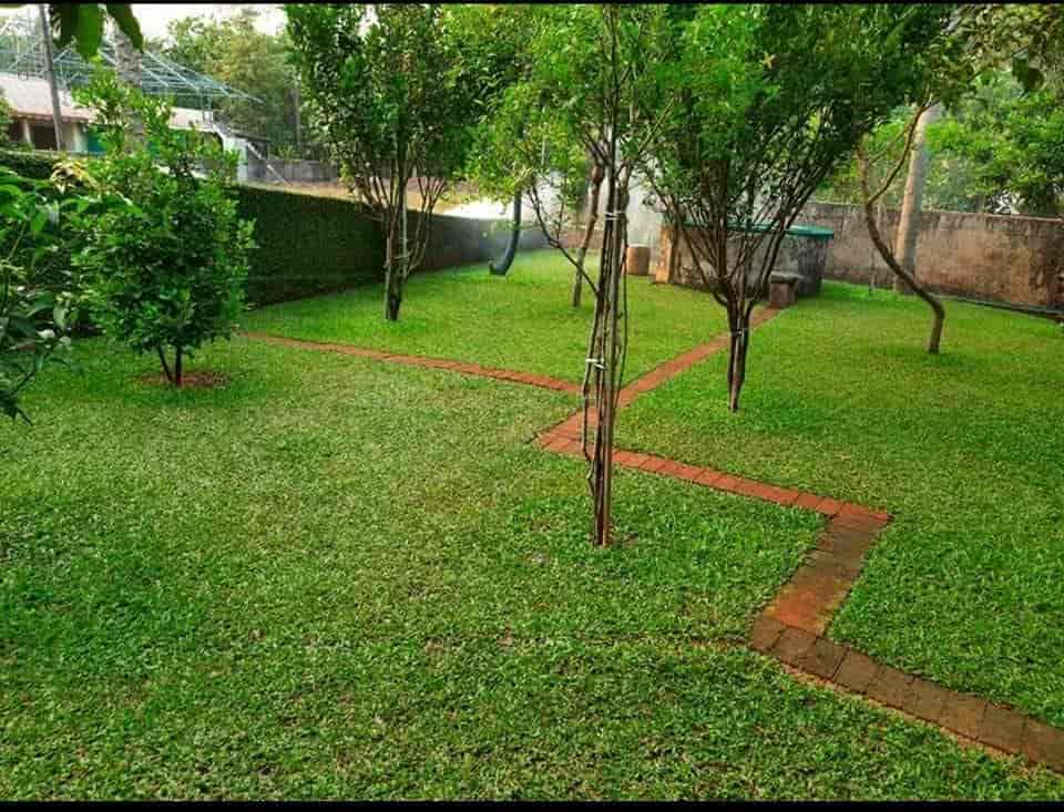 Top Plant Nurseries in Kannur Best Goverment Plant Nurseries near me