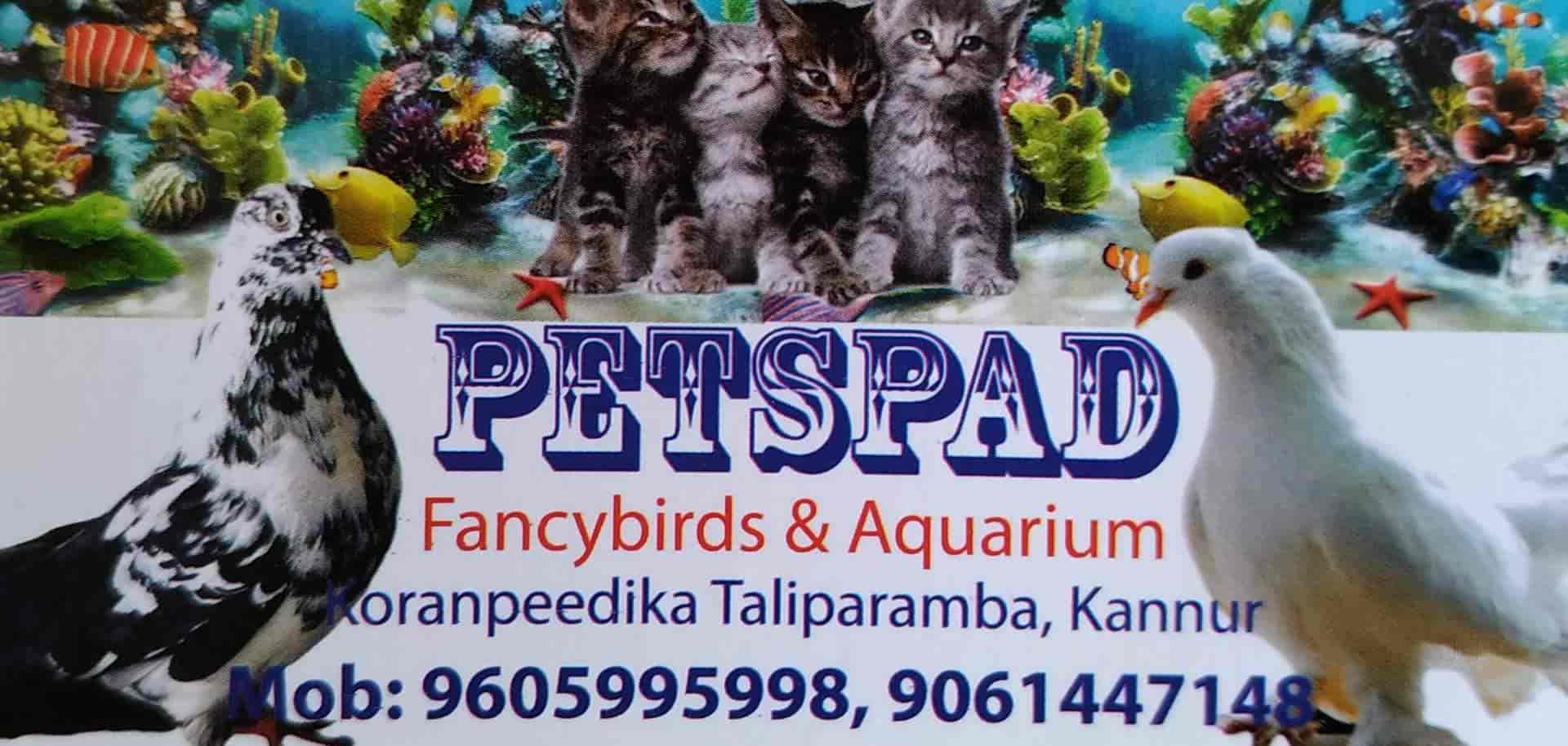 Top Pet Shops in Taliparamba, Kannur Best Pet Store & Suppliers