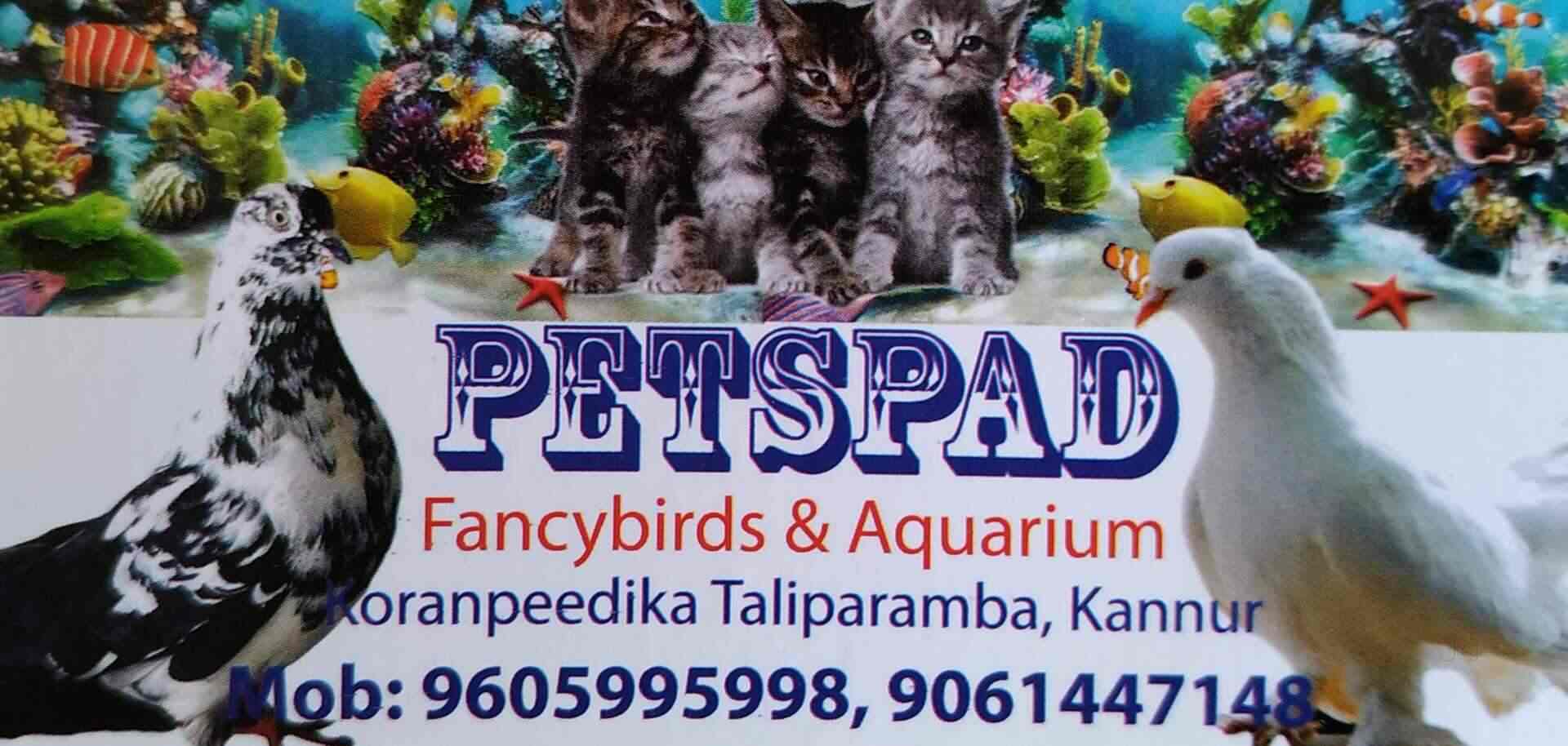 Pets Pad, Taliparamba Pet Shops in Kannur Justdial