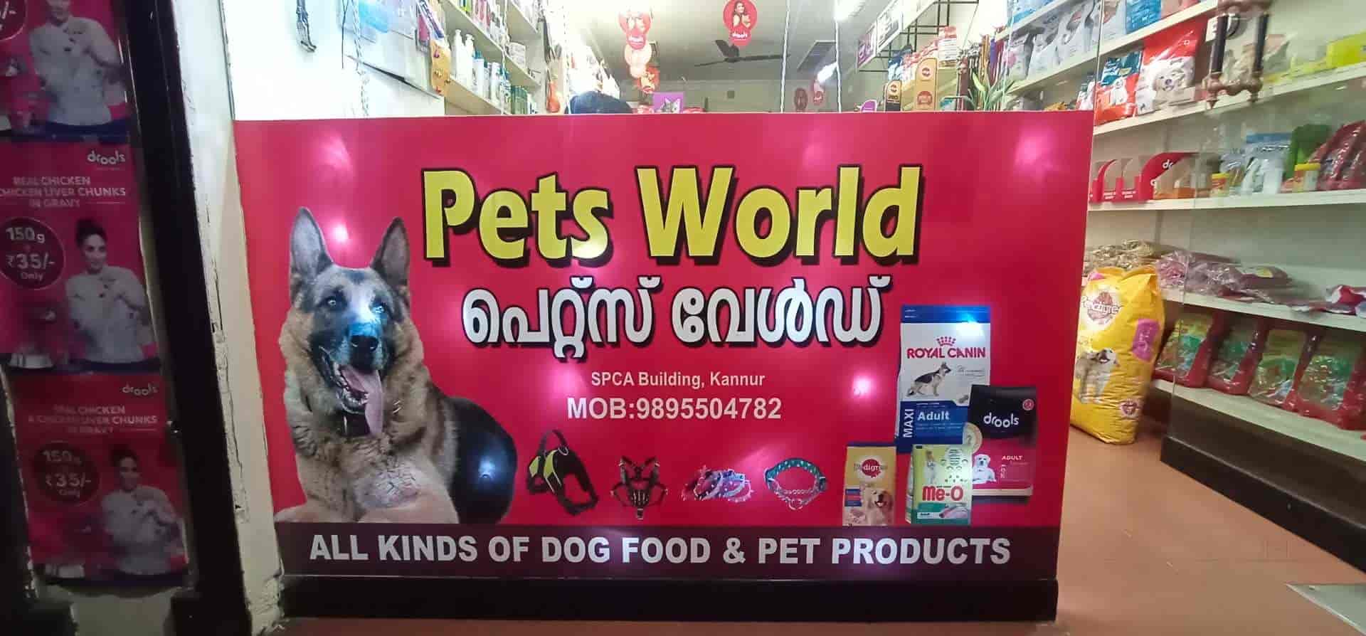 Top Pet Shops in Kannur Best Pet Store near me Justdial
