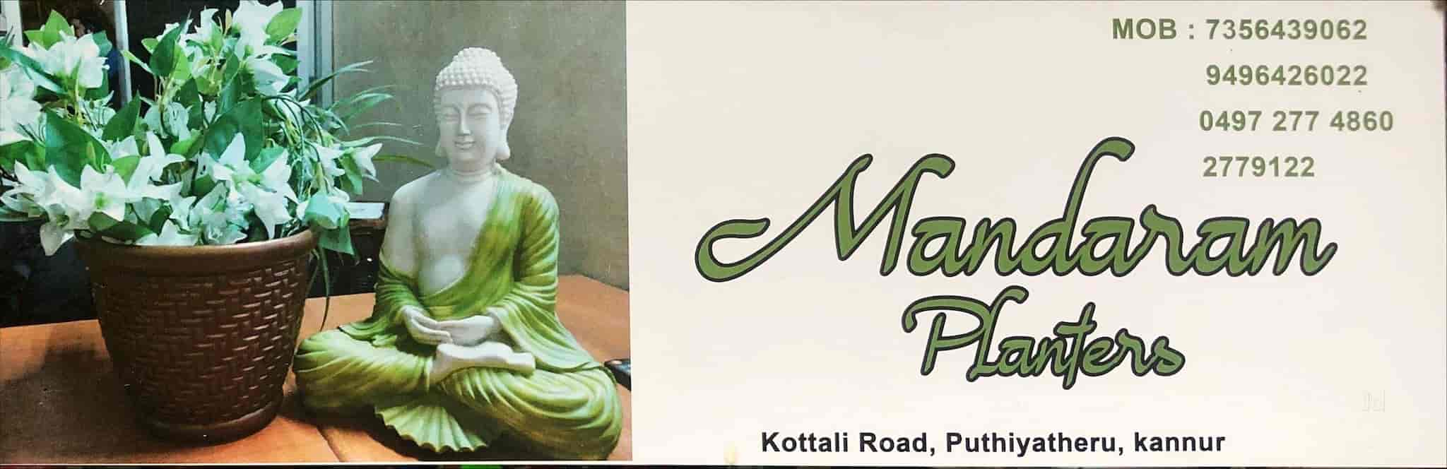 Top Plant Nurseries in Kannur Best Goverment Plant Nurseries near me