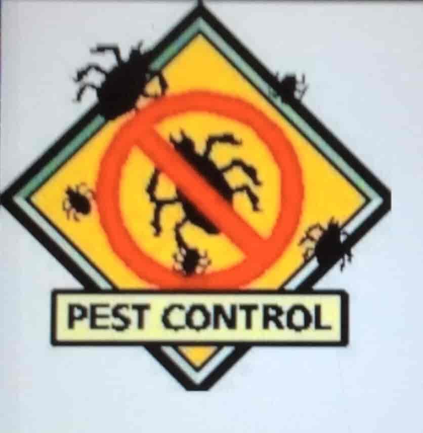 Top Fumigation Pest Control Services in Kannur Best Fogging Pest
