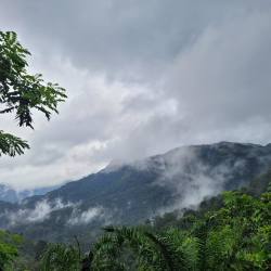 20+ Tourist Attraction in Kottiyur - Most Visited Tourist Places ...