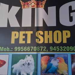 King pet shop sales
