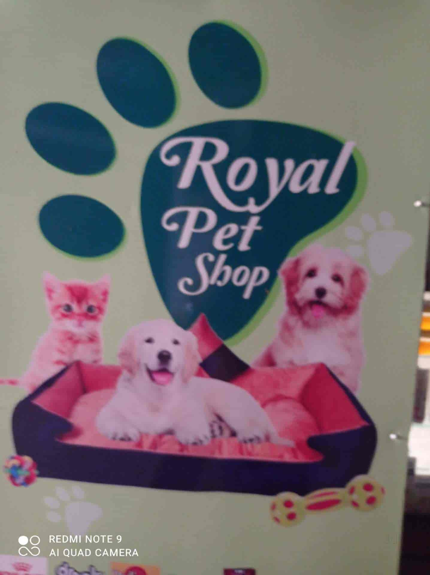 Royal 2024 pet center