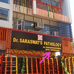 Top Diagnostic Centres in Lal Bangla, Kanpur - Best Pathology Lab ...