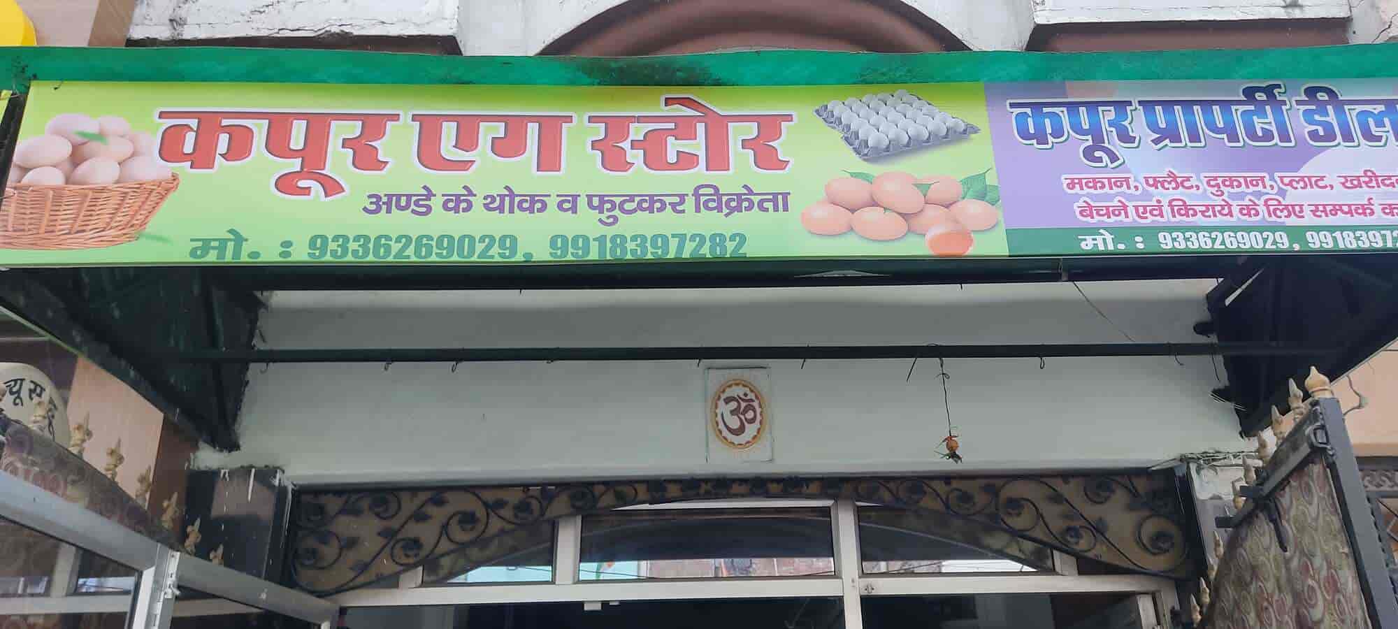 Catalogue Kapoor Egg Store in Govind Nagar West , Kanpur Justdial