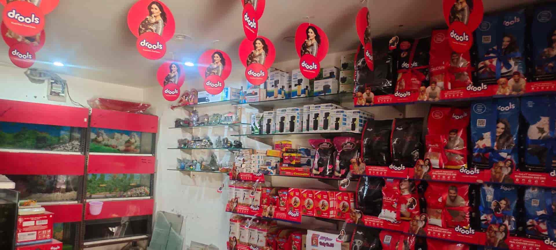 Unnati Fish Aquarium in Jawahar Nagar,Kanpur Best Pet Shops in Kanpur Justdial