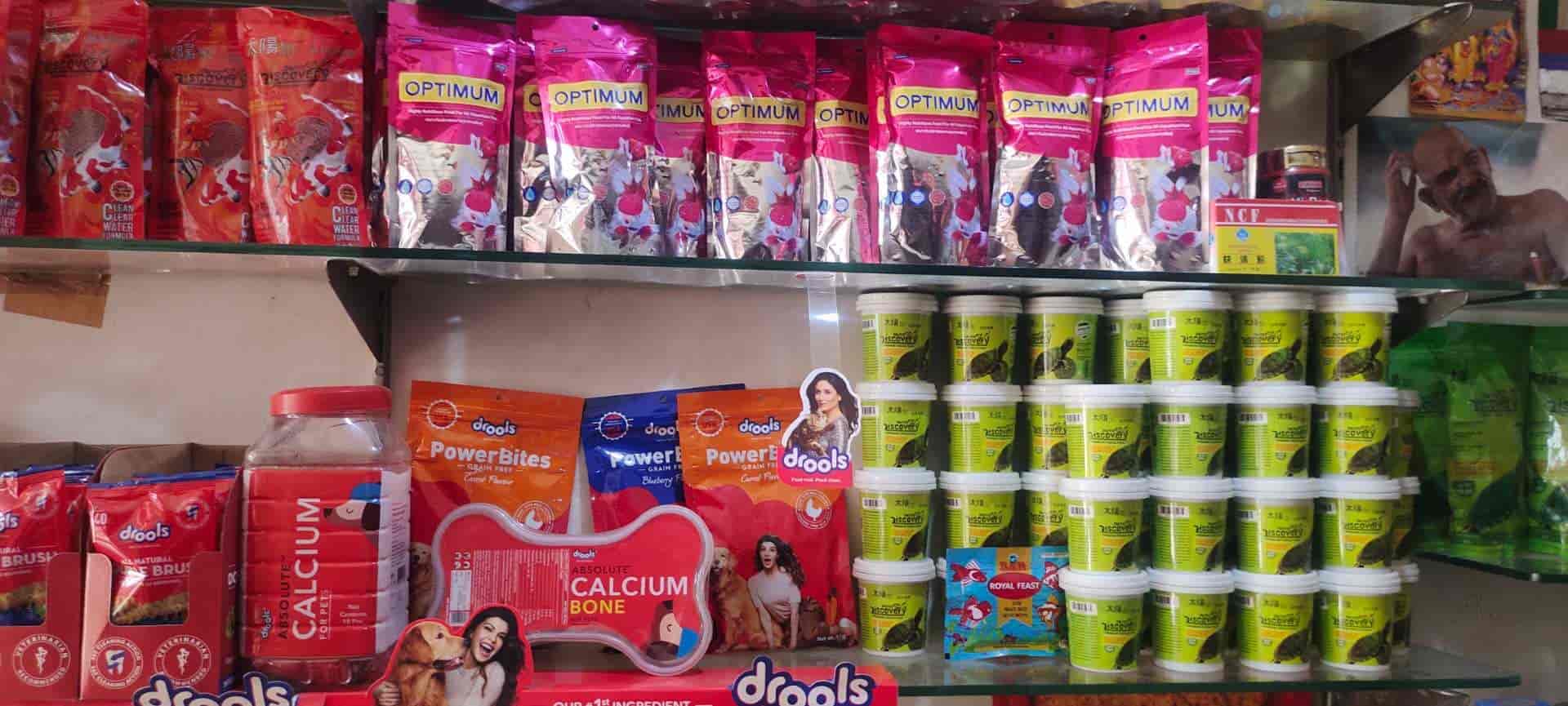 Unnati Fish Aquarium in Jawahar Nagar,Kanpur Best Pet Shops in Kanpur Justdial