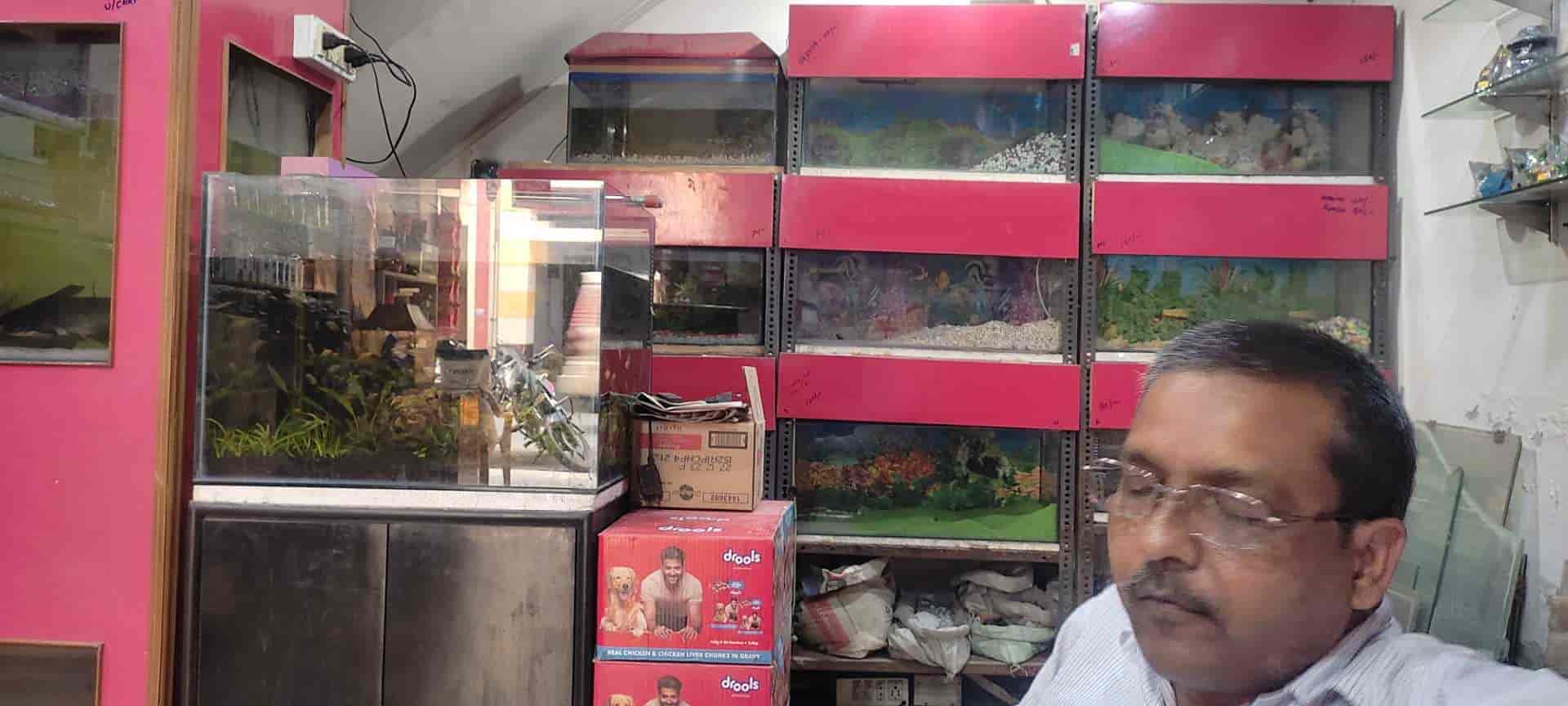 Unnati Fish Aquarium in Jawahar Nagar,Kanpur Best Pet Shops in Kanpur Justdial