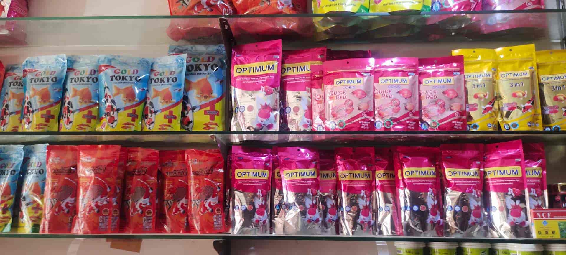 Unnati Fish Aquarium in Jawahar Nagar,Kanpur Best Pet Shops in Kanpur Justdial