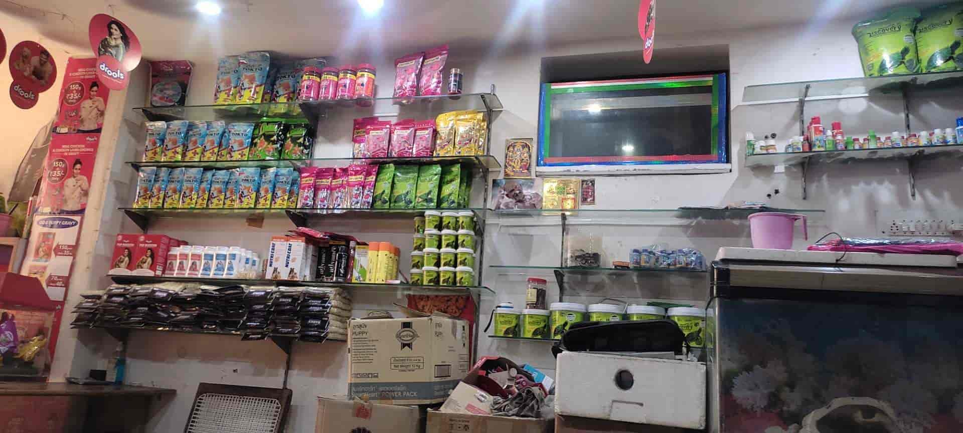 Unnati Fish Aquarium in Jawahar Nagar,Kanpur Best Pet Shops in Kanpur Justdial