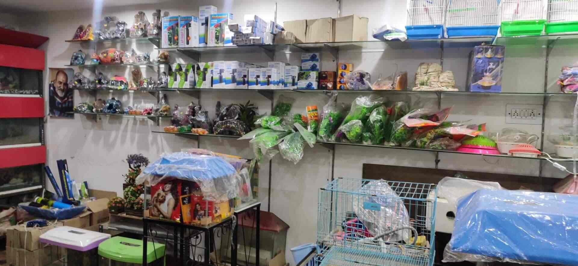 Unnati Fish Aquarium in Jawahar Nagar,Kanpur Best Pet Shops in Kanpur Justdial