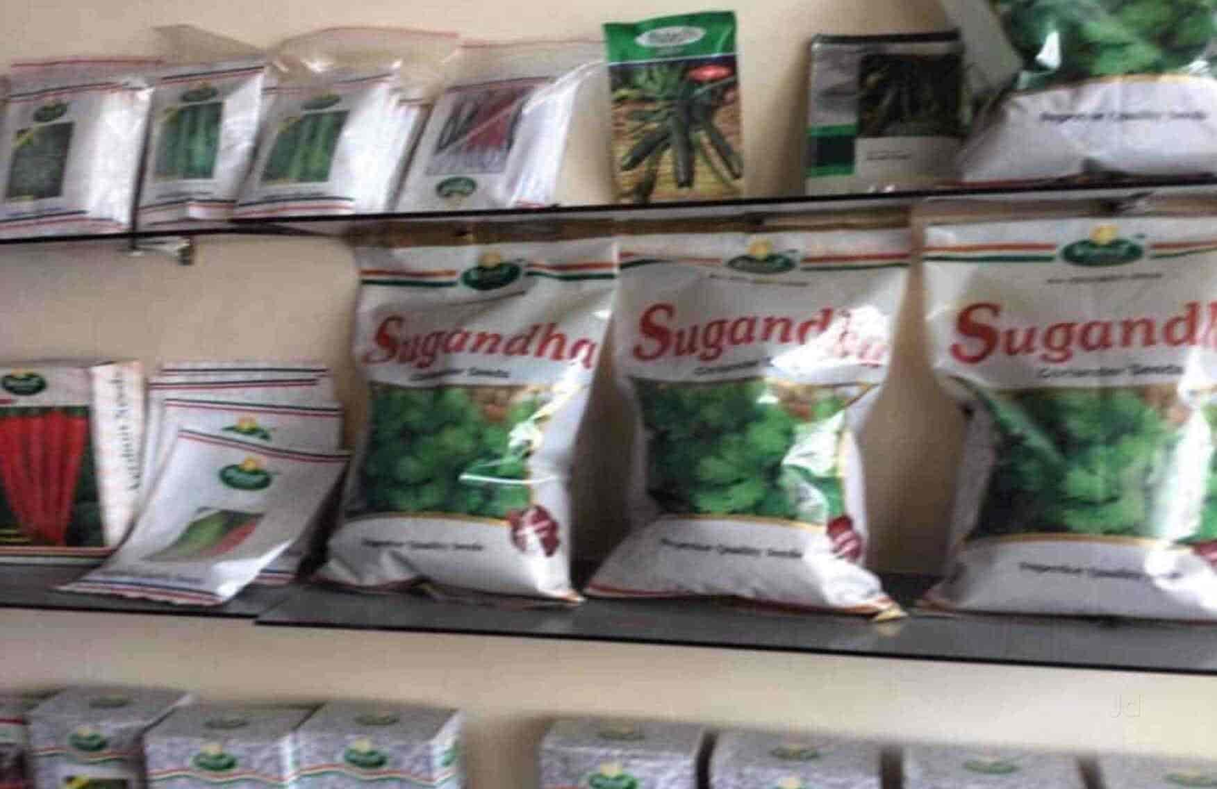 Top Tree Nurseries in Lal Bangla Best Nursery Tree Creepers Kanpur