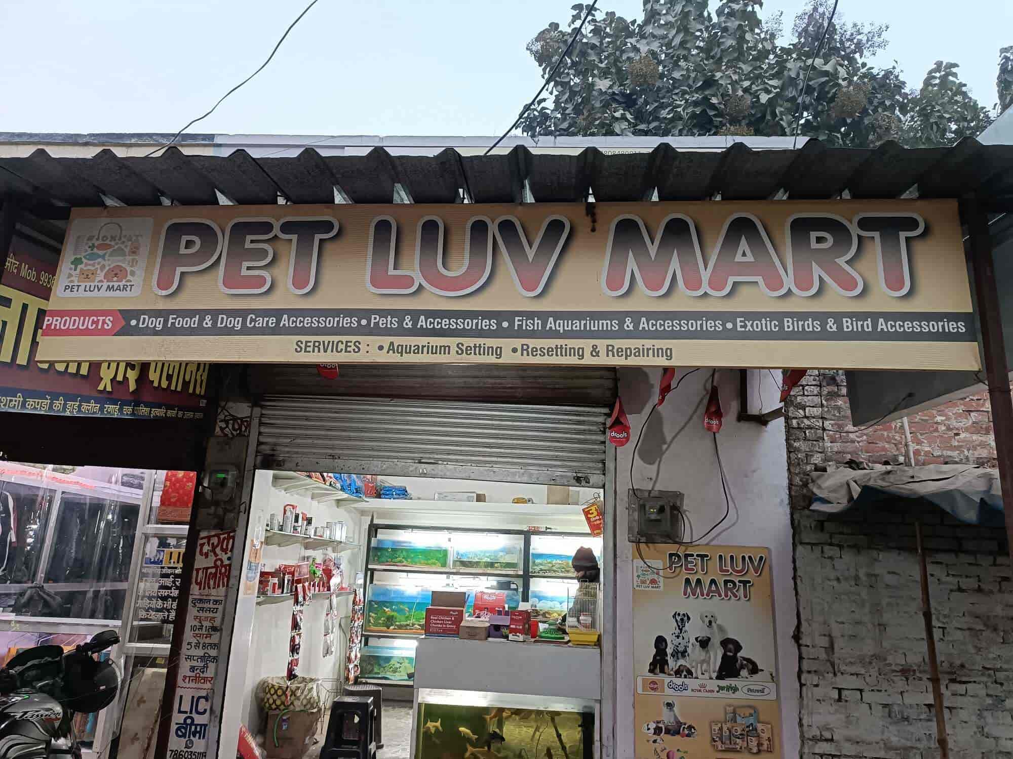 Dog mart near me sale