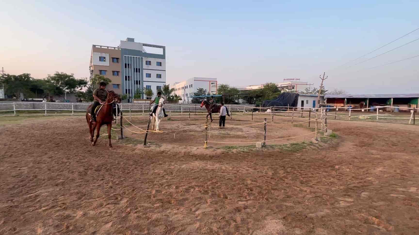 Top Horse Riding in Kakinada Best Horse Ride Training Justdial