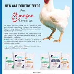 Catalogue - Magna Animal Nutrition in Karnal Sector 7 , Karnal - Justdial Catalogue - Magna Animal Nutrition in Karnal Sector 7 , Karnal - Justdial