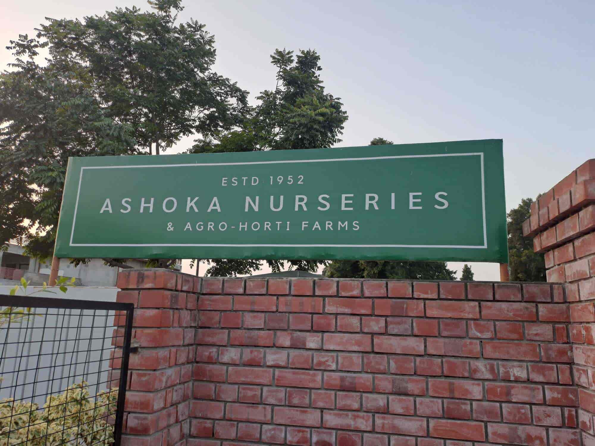 Top Plant Nurseries in Karnal Model Town,Karnal Best Government Plant