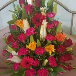 Jenny Flowers International Kanhangad Kerala | Best Flower Site