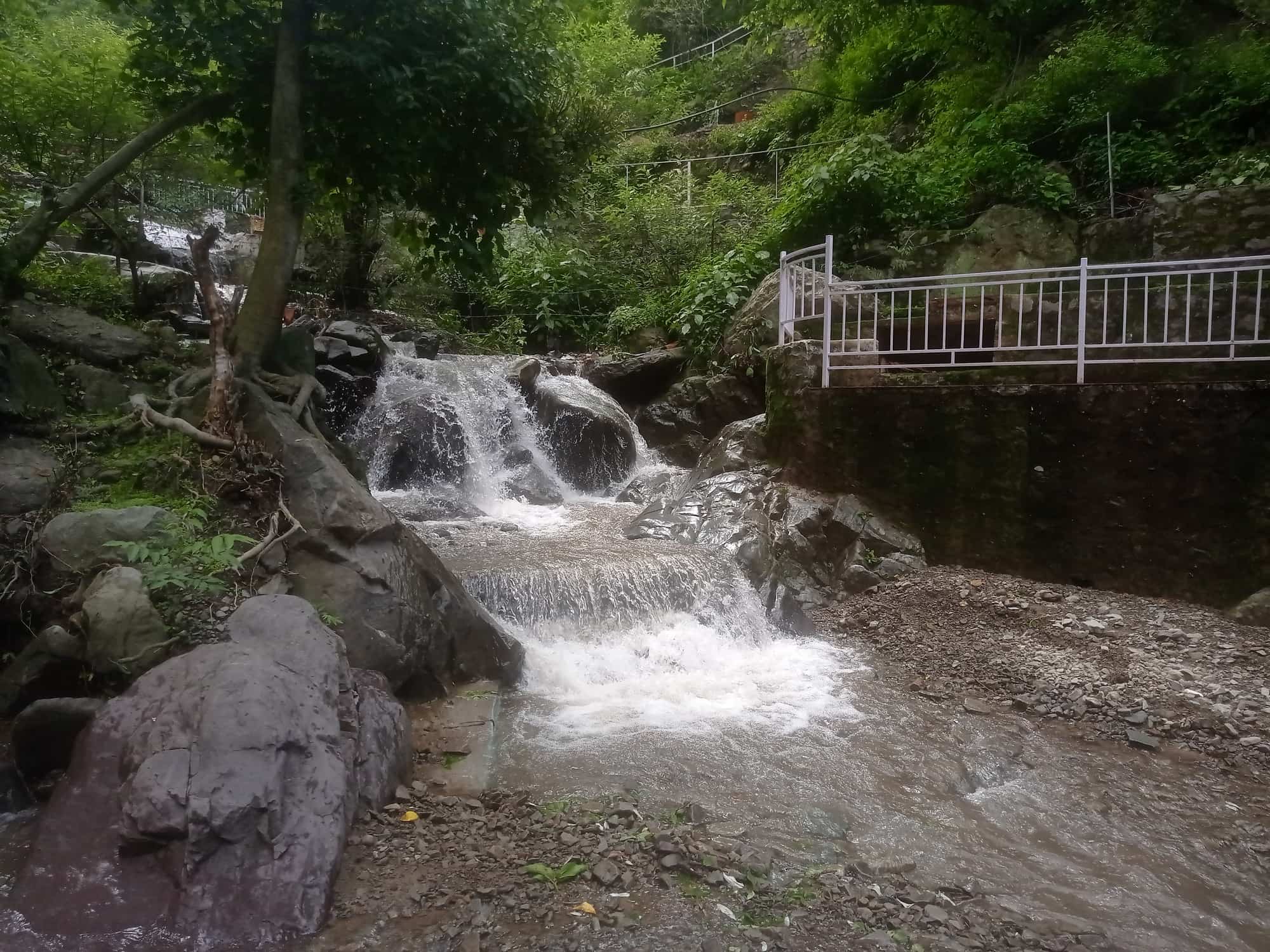 Top Tourist Attractions in Solan – Must-Visit Places in Solan