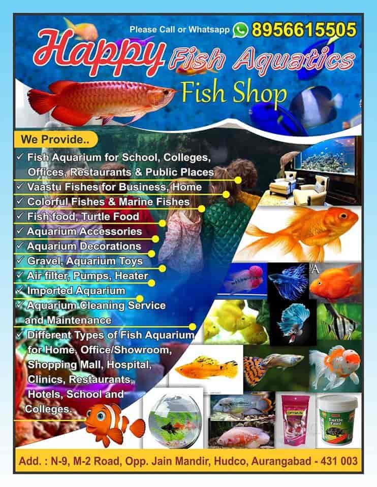 SK Aquarium Store Visit Aquarium Fish With Price Details In, 56% OFF