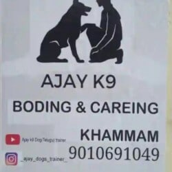 Top Dog Grooming Services in Khammam - Best Groomers - Justdial