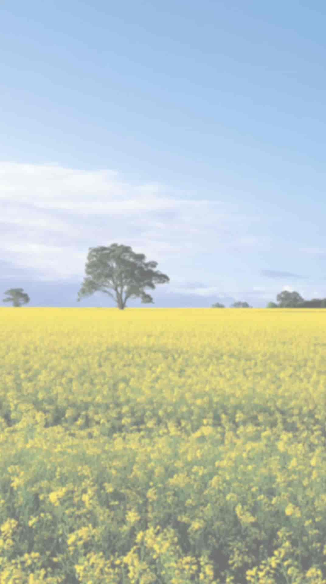 Top Animal Feed Manufacturers in Midnapore एनिमल फीड मनुफक्चरर्स