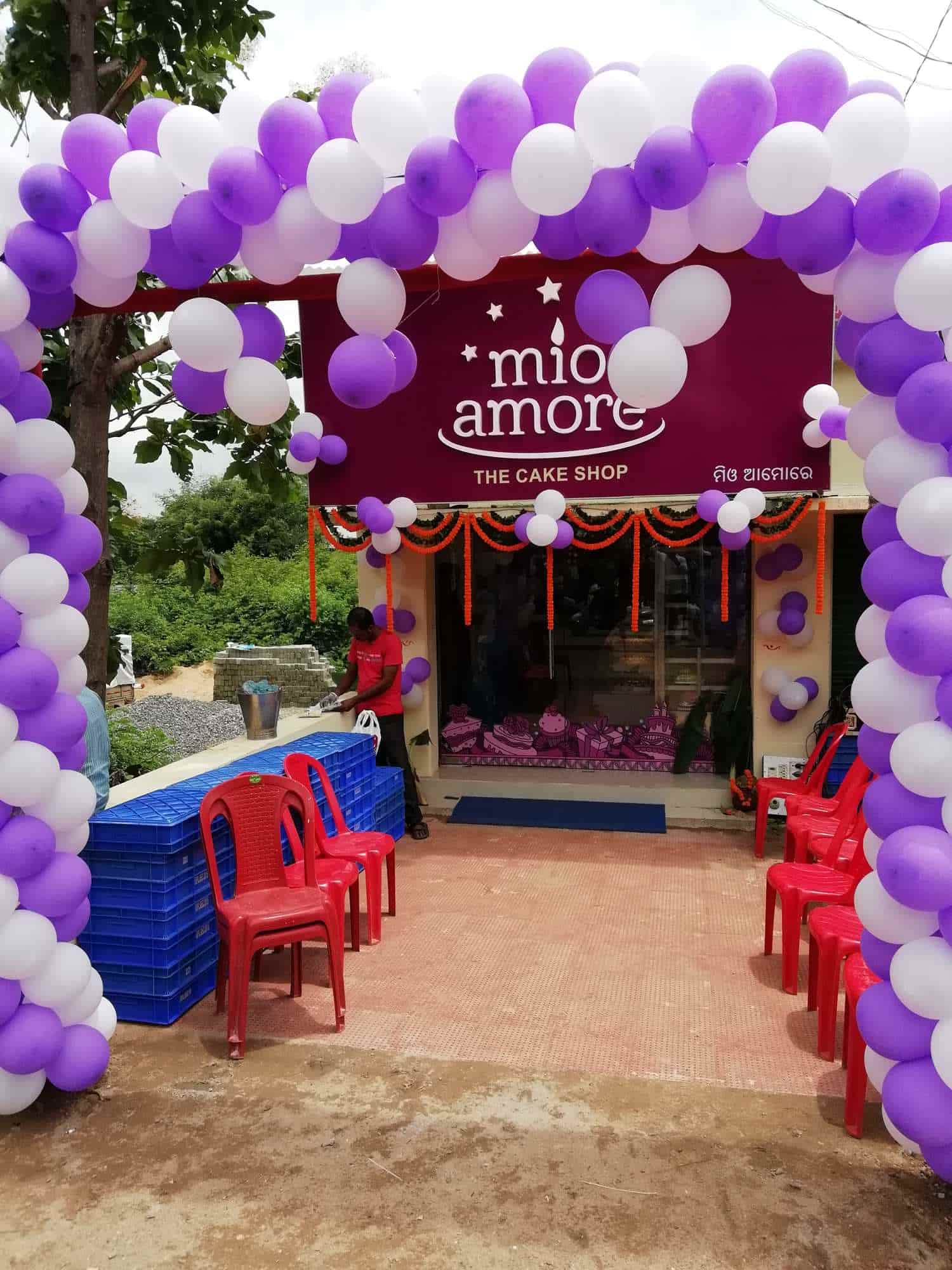 Top Mio Amore Cake Shops in Khurda Best Mio Amore Cake Shops near me