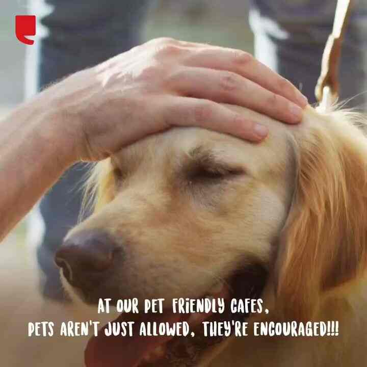 Top Coffee Shops in Narasapura Kolar Best Cafes near me Justdial